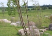 Dainuojančių akmenų slėnis 2011