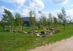 Dainuojančių akmenų slėnis 2011