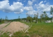 Dainuojančių akmenų slėnis 2011