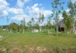 Dainuojančių akmenų slėnis 2011