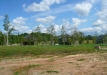 Dainuojančių akmenų slėnis 2011