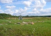 Dainuojančių akmenų slėnis 2011