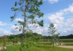 Dainuojančių akmenų slėnis 2011