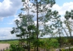 Dainuojančių akmenų slėnis 2011
