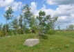Dainuojančių akmenų slėnis 2011