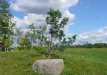 Dainuojančių akmenų slėnis 2011