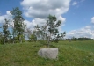 Dainuojančių akmenų slėnis 2011