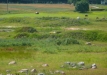 Dainuojančių akmenų slėnis 2011