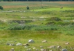 Dainuojančių akmenų slėnis 2011