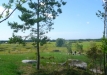 Dainuojančių akmenų slėnis 2011