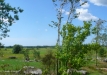 Dainuojančių akmenų slėnis 2011