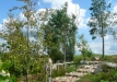Dainuojančių akmenų slėnis 2011