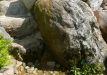 Dainuojančių akmenų slėnis 2011