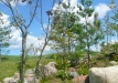 Dainuojančių akmenų slėnis 2011