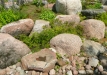 Dainuojančių akmenų slėnis 2011