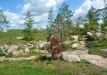 Dainuojančių akmenų slėnis 2011