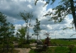 Dainuojančių akmenų slėnis 2011