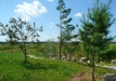 Dainuojančių akmenų slėnis 2011
