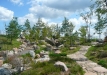 Dainuojančių akmenų slėnis 2011