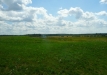 p1290135