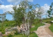 p1290140