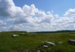 p1290150
