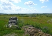 p1290152