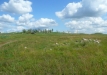p1290154
