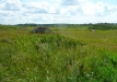 p1290155