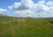 p1290156