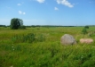p1290157