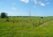 p1290158