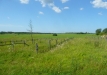 p1290159
