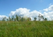 p1290160