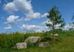 p1290169