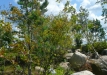 p1290177
