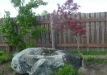 p1290201