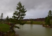 2015-11-12_5971