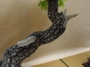Quercus pubescens, meistras Marek Gajda, Lenkija
