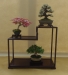 Acer palmatum 'Deshojo', Rhododendron saotome, Euonymus fortunei 'Emerald Gold', meistras Torben Brenfeldt, Danija