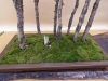 Pinus sylvestris, meistras Marek Gajda, Lenkija