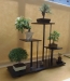 Pinus, Acer, ROsa, Pyracantha, Ulmus, meistras Emma Kerper, Austrija