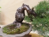 Pinus sylvestri, meistras Kurt Jaritz, Austrija