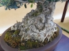 Olea europaea, meistras Patrice Rolando, Monakas