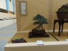 Olea europaea, meistras Patrice Rolando, Monakas