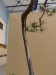 Pinus banksiana, meistras Sebastian Zydek, Lenkija