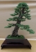 Larix Kaempferi, meistras Rafal Kulesza, Lenkija