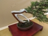 Juniperus communis, meistras Tomasz Wowro, Lenkija
