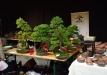 noelanders-trophy2015-021