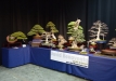 noelanders-trophy2015-026